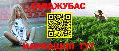 Альфа ПВП Ставрополь