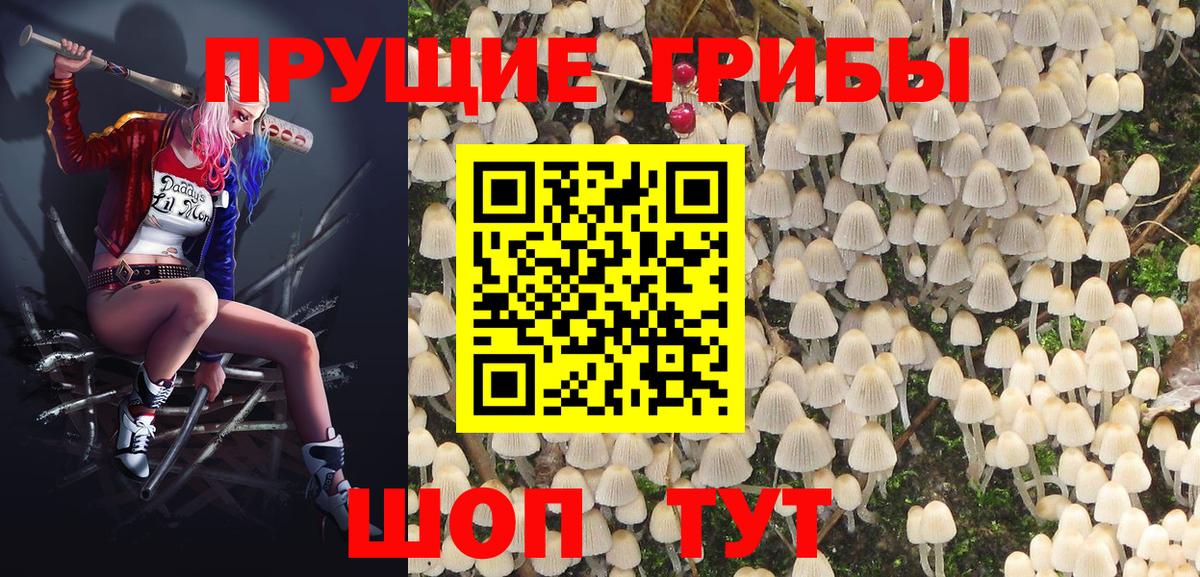 купить   Вход с VPN  Аргун  Галлюциногенные грибы MAGIC MUSHROOMS 
