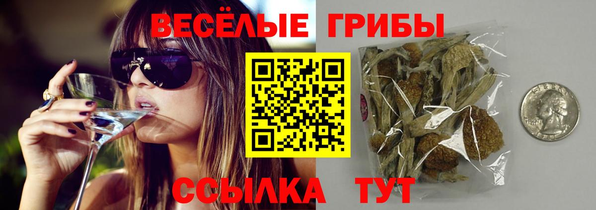 Галлюциногенные грибы мицелий Аргун