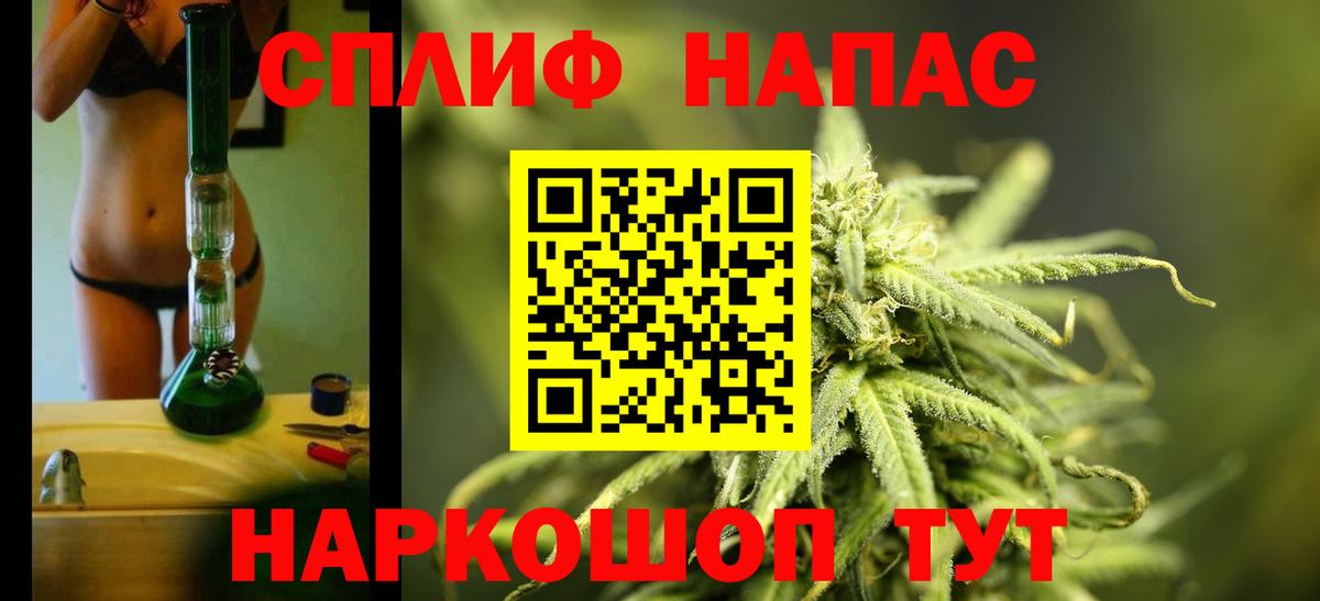 Конопля планчик Аргун
